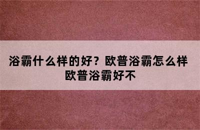 浴霸什么样的好？欧普浴霸怎么样 欧普浴霸好不